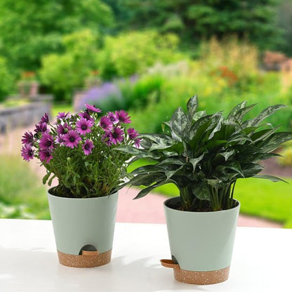 Pot de fleur design contemporain Bromelaine