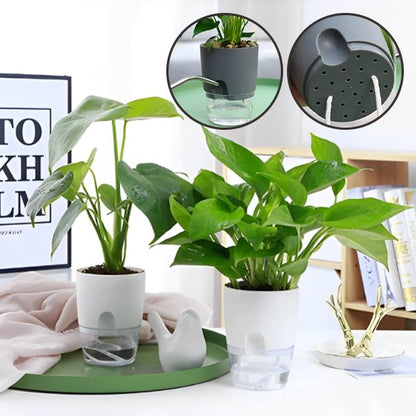 Pot de fleur FlowerWater effet apaisant 