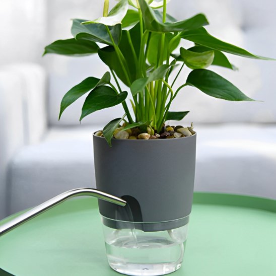 Pot_de_fleur_FlowerWater_remplissage_facile