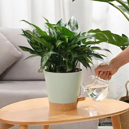 Pot de fleur autonomie dix jours Bromeline