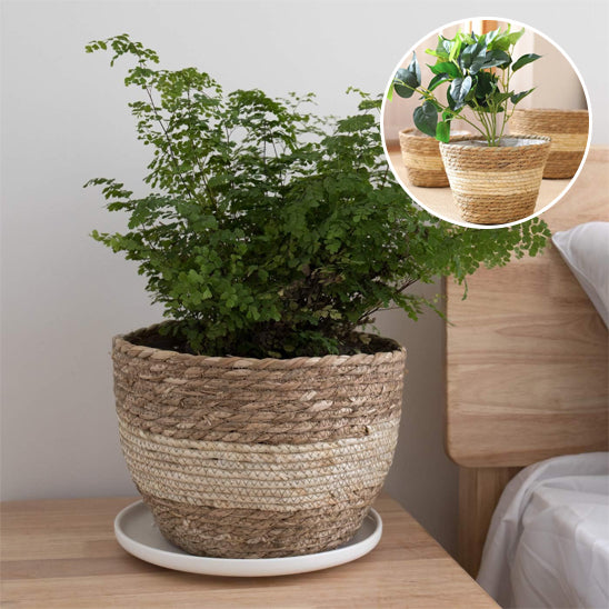 Pot de fleur | Eco - chic™