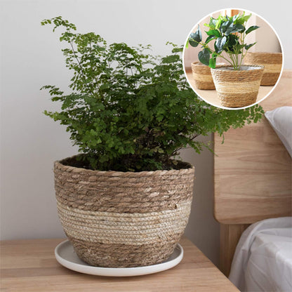 Pot de fleur | Eco - chic™