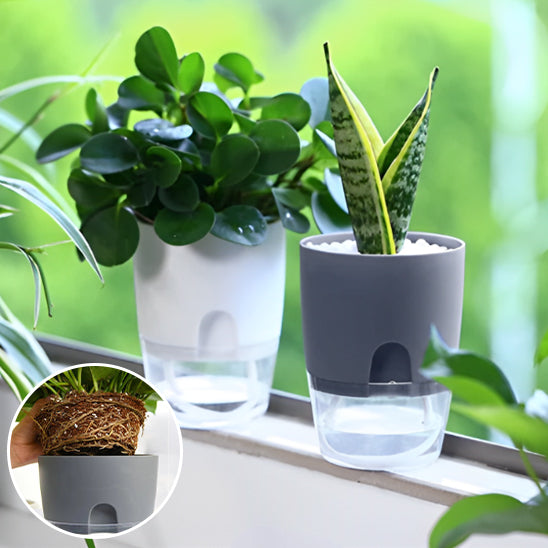 Pot de fleur | FlowerWater™