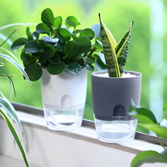 Pot de fleur bien-être plante lieu vie