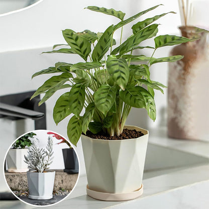Pot de fleur | DesignDurable ™