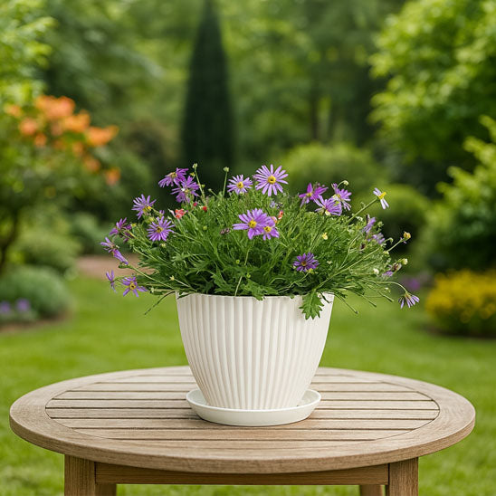 Pot de fleur convient tous espaces