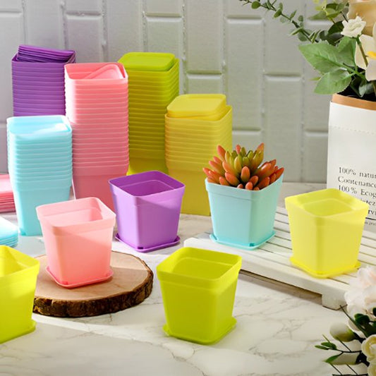 Pot_de_fleur_couleur_vive