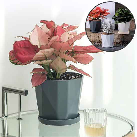 Pot de fleur | DesignDurable ™