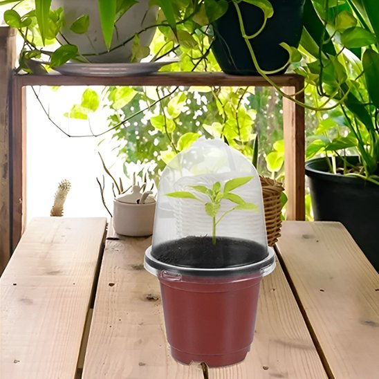 Pot de fleur humidite regule Pepinia