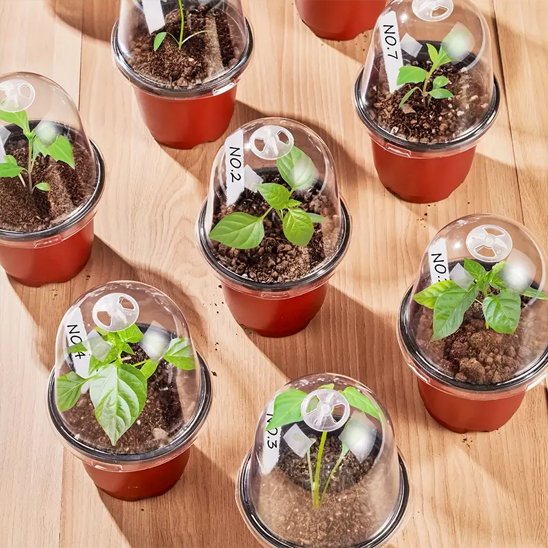 Pot de fleur hygrometrie optimale pepinia