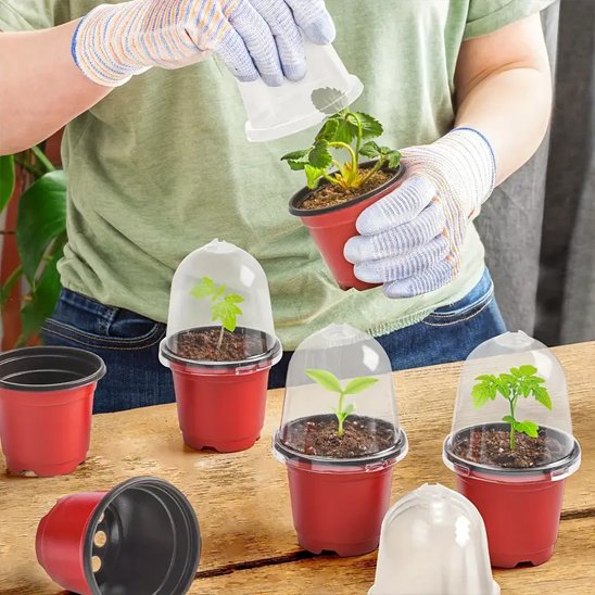 Pot de fleur mini serre Pepinia