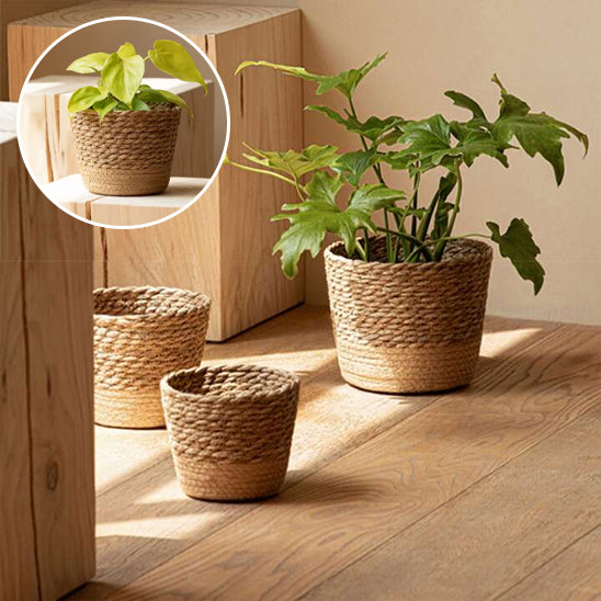 Pot de fleur modèle arrondi Bohem