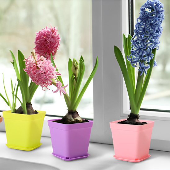 Pot de fleur palette couleur bordure fenêtre Squar'Pot