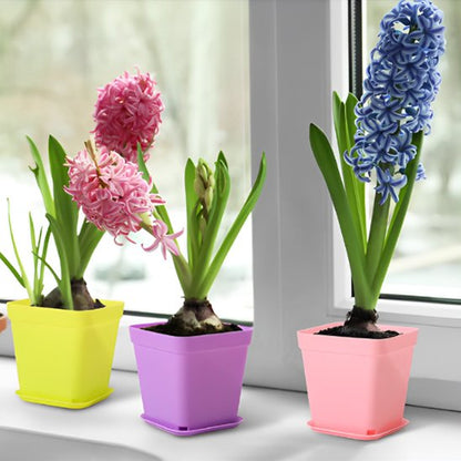 Pot de fleur palette couleur bordure fenêtre Squar'Pot