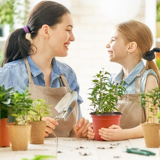 Pot de fleur plantation familial Pepinia