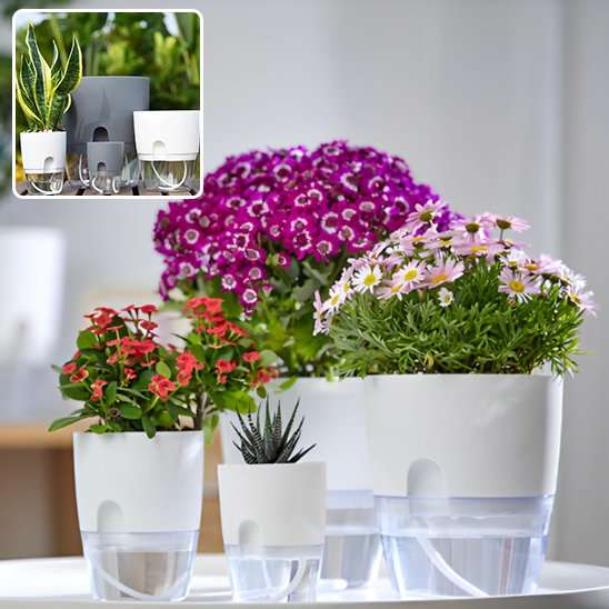 Pot de fleur respect besoin plante