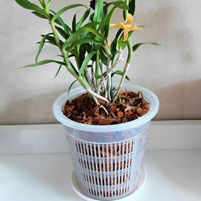 Pot de fleur sante optimale orchidees