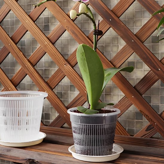 Pot de fleur soucoupe integree Orchidys