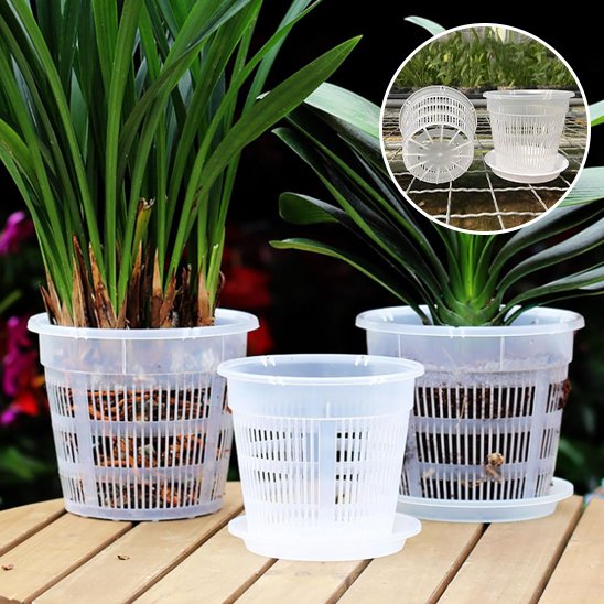 Pot de fleur transparent Orchidys