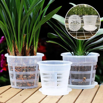 Pot de fleur transparent Orchidys