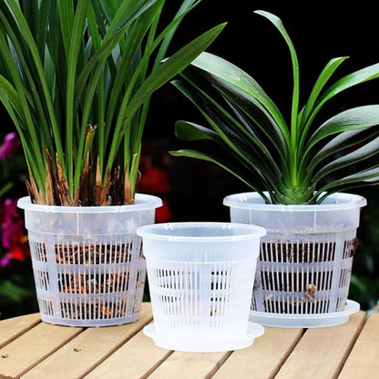 Pot de fleur transparent ajoure Orchidys