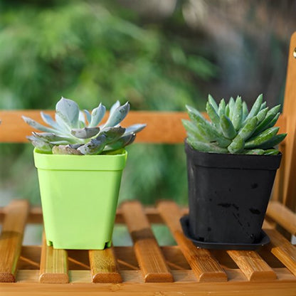 Pot_de_leur_explosion_couleur