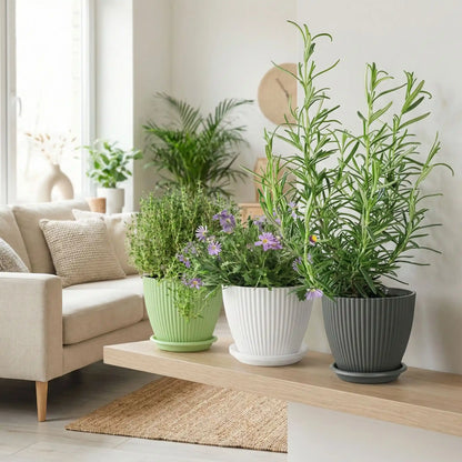 Pot de fleur | ModernPot™