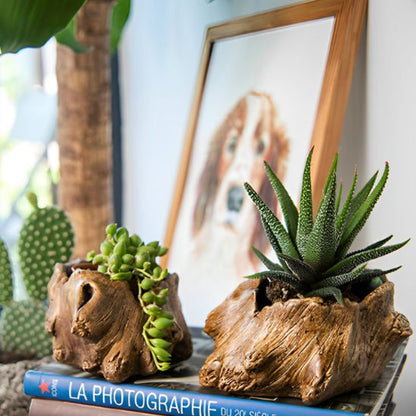 Pot de fleur interieur aspect rustique imitant les formes organiques et irrégulières du tronc