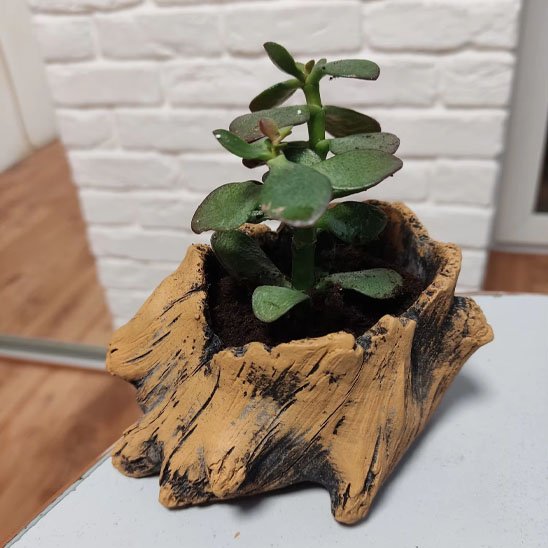 Pot de fleur interieur touche écologique à la décoration d'intérieur 