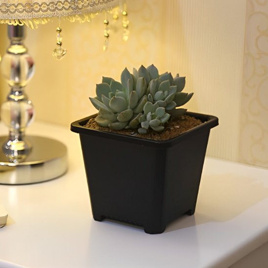 pot de fleur legerete