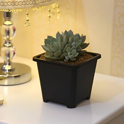 pot de fleur legerete