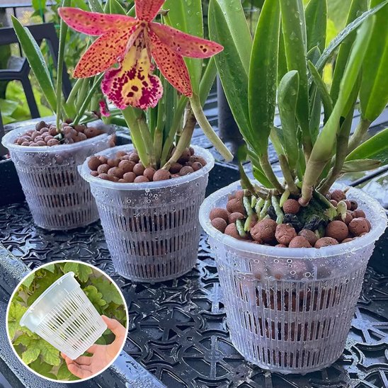 Pot de fleur | Orchidys™